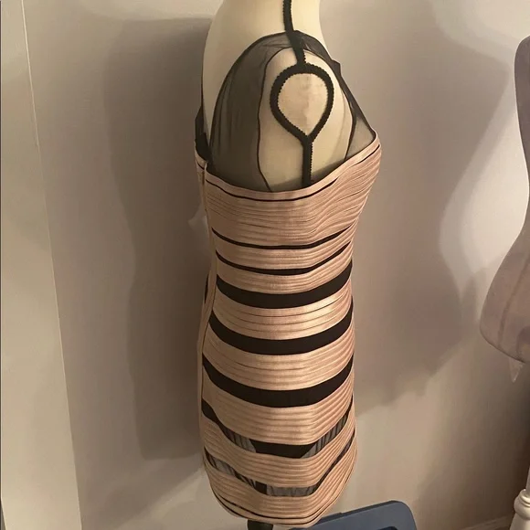 BCBGMAXAZRIA gold and black mesh size 6 dress - Picture 4 of 9